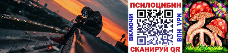 Галлюциногенные грибы Psilocybe  кракен как войти  Кызыл 